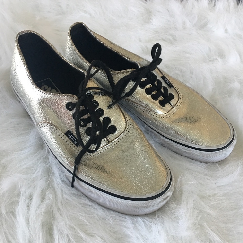 Metallic Silver Vans